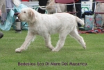 Filename=B-EcoDiMare.jpg
Filesize=99KiB
Dimensions=640x438
Date added=Sep 17, 2009 B-EcoDiMare.jpg