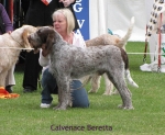 Filename=C-Beretta.jpg
Filesize=101KiB
Dimensions=548x450
Date added=Sep 17, 2009 C-Beretta.jpg