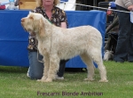 Filename=F-BlondeAmbition.jpg
Filesize=95KiB
Dimensions=591x434
Date added=Sep 17, 2009 F-BlondeAmbition.jpg