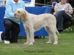 Filename=F-GoldenGirl.jpg
Filesize=111KiB
Dimensions=640x480
Date added=Sep 17, 2009 F-GoldenGirl.jpg
