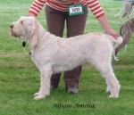 Filename=A-Amelia.jpg
Filesize=65KiB
Dimensions=600x518
Date added=Sep 17, 2009 A-Amelia.jpg