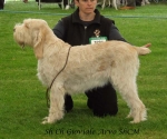 Filename=G-Arvo.jpg
Filesize=59KiB
Dimensions=600x502
Date added=Sep 17, 2009 G-Arvo.jpg