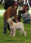 Filename=A-Asriel.JPG
Filesize=24KiB
Dimensions=265x364
Date added=Sep 17, 2009 A-Asriel.JPG