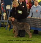 Filename=A-MindYerHandbag.JPG
Filesize=43KiB
Dimensions=433x451
Date added=Sep 17, 2009 A-MindYerHandbag.JPG