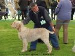 Filename=B-EdwardGRobinson.JPG
Filesize=64KiB
Dimensions=611x457
Date added=Sep 17, 2009 B-EdwardGRobinson.JPG