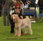 Filename=H-DonTLookEthel.JPG
Filesize=33KiB
Dimensions=377x357
Date added=Sep 17, 2009 H-DonTLookEthel.JPG