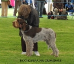 Filename=H-MrGrimsdale.JPG
Filesize=41KiB
Dimensions=424x369
Date added=Sep 17, 2009 H-MrGrimsdale.JPG