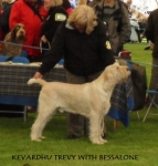 Filename=K-Trevy.JPG
Filesize=31KiB
Dimensions=380x396
Date added=Sep 17, 2009 K-Trevy.JPG