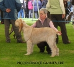 Filename=P-Guinevere.JPG
Filesize=29KiB
Dimensions=349x318
Date added=Sep 17, 2009 P-Guinevere.JPG