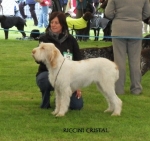 Filename=R-Cristal.JPG
Filesize=40KiB
Dimensions=405x382
Date added=Sep 17, 2009 R-Cristal.JPG