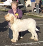 Filename=F-BlondeAmbition.jpg
Filesize=99KiB
Dimensions=600x637
Date added=Jan 31, 2010 F-BlondeAmbition.jpg