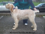 Filename=M-JustEva.jpg
Filesize=134KiB
Dimensions=750x570
Date added=Jan 31, 2010 M-JustEva.jpg