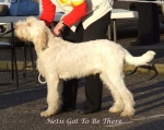 Filename=N-GotToBeThere.jpg
Filesize=62KiB
Dimensions=600x477
Date added=Jan 31, 2010 N-GotToBeThere.jpg