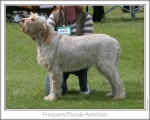 Filename=F-BlondeAmbition.jpg
Filesize=114KiB
Dimensions=868x698
Date added=Sep 17, 2009 F-BlondeAmbition.jpg