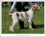 Dateiname=G-Comacchio.jpg
Dateigröße=124KB
Abmessungen: 868x698
hinzugefügt am: 17. September 2009 G-Comacchio.jpg
