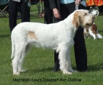 Dateiname=H-LouisDousset.jpg
Dateigröße=69KB
Abmessungen: 600x497
hinzugefügt am: 17. September 2009 H-LouisDousset.jpg