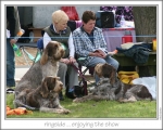 Filename=Spectators.jpg
Filesize=122KiB
Dimensions=868x698
Date added=Sep 17, 2009 Spectators.jpg