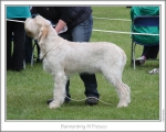 Filename=B-AlFresco.jpg
Filesize=145KiB
Dimensions=868x698
Date added=Aug 18, 2010 B-AlFresco.jpg