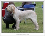 Filename=B-BillyElliot.jpg
Filesize=139KiB
Dimensions=868x698
Date added=Aug 18, 2010 B-BillyElliot.jpg
