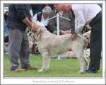 Filename=B-EdwardGRobinson.jpg
Filesize=134KiB
Dimensions=868x698
Date added=Aug 18, 2010 B-EdwardGRobinson.jpg
