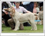 Filename=B-LikelyLad.jpg
Filesize=129KiB
Dimensions=868x698
Date added=Aug 18, 2010 B-LikelyLad.jpg