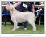 Filename=F-BlondeAmbition.jpg
Filesize=147KiB
Dimensions=868x698
Date added=Aug 18, 2010 F-BlondeAmbition.jpg
