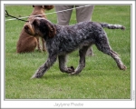 Filename=J-Phoebe-2.jpg
Filesize=167KiB
Dimensions=868x698
Date added=Aug 18, 2010 J-Phoebe-2.jpg
