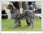 Filename=J-Phoebe.jpg
Filesize=158KiB
Dimensions=868x698
Date added=Aug 18, 2010 J-Phoebe.jpg