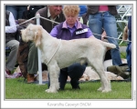 Filename=K-Caswyn.jpg
Filesize=145KiB
Dimensions=868x698
Date added=Aug 18, 2010 K-Caswyn.jpg