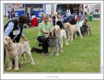 Filename=LimitDog.jpg
Filesize=260KiB
Dimensions=1083x833
Date added=Aug 18, 2010 LimitDog.jpg