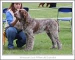 Filename=M-JustWilliam.jpg
Filesize=159KiB
Dimensions=868x698
Date added=Aug 18, 2010 M-JustWilliam.jpg