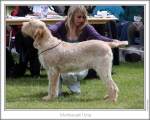 Filename=M-Uma.jpg
Filesize=158KiB
Dimensions=868x698
Date added=Aug 18, 2010 M-Uma.jpg