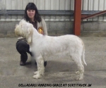 Filename=D-AmazingGrace2.jpg
Filesize=78KiB
Dimensions=650x542
Date added=Sep 14, 2011 D-AmazingGrace2.jpg