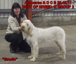 Filename=D-AmazingGrace3.jpg
Filesize=121KiB
Dimensions=750x635
Date added=Sep 14, 2011 D-AmazingGrace3.jpg