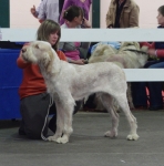 Filename=B-BillyElliot.JPG
Filesize=142KiB
Dimensions=600x608
Date added=Aug 18, 2010 B-BillyElliot.JPG