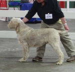 Filename=B-EdwardGRobinson.JPG
Filesize=138KiB
Dimensions=600x574
Date added=Aug 18, 2010 B-EdwardGRobinson.JPG