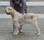 Filename=B-Finlay.JPG
Filesize=118KiB
Dimensions=600x548
Date added=Aug 18, 2010 B-Finlay.JPG