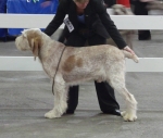 Filename=R-Schillaci.JPG
Filesize=120KiB
Dimensions=600x510
Date added=Aug 18, 2010 R-Schillaci.JPG