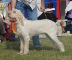 Montecani-HeSAPeach.JPG