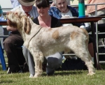 Filename=B-Finlay.JPG
Filesize=177KiB
Dimensions=600x490
Date added=Aug 18, 2010 B-Finlay.JPG