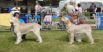 Filename=BOB.JPG
Filesize=403KiB
Dimensions=1160x600
Date added=Aug 18, 2010 BOB.JPG