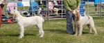 Filename=BP.JPG
Filesize=385KiB
Dimensions=1428x600
Date added=Aug 18, 2010 BP.JPG