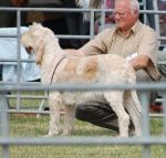Filename=H-Bonnaire.JPG
Filesize=157KiB
Dimensions=600x573
Date added=Aug 18, 2010 H-Bonnaire.JPG