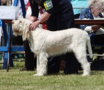 Filename=N-GotToBeThere.JPG
Filesize=173KiB
Dimensions=600x520
Date added=Aug 18, 2010 N-GotToBeThere.JPG