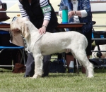 Filename=R-TheTattler.JPG
Filesize=177KiB
Dimensions=600x525
Date added=Aug 18, 2010 R-TheTattler.JPG