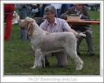 Filename=B-LikelyLad.jpg
Filesize=170KiB
Dimensions=868x698
Date added=Aug 21, 2010 B-LikelyLad.jpg