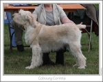 Filename=C-Corinna.jpg
Filesize=154KiB
Dimensions=868x698
Date added=Aug 21, 2010 C-Corinna.jpg