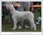 Filename=C-DecemberDreaming.jpg
Filesize=152KiB
Dimensions=868x698
Date added=Aug 21, 2010 C-DecemberDreaming.jpg