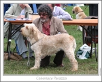 Filename=C-Perazza.jpg
Filesize=188KiB
Dimensions=868x698
Date added=Aug 21, 2010 C-Perazza.jpg