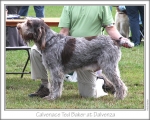 Filename=C-TedBaker.jpg
Filesize=193KiB
Dimensions=868x698
Date added=Aug 21, 2010 C-TedBaker.jpg